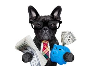 RAISING MONEY — LEGALLY AND SAFELY — FOR REAL ESTATE INVESTING