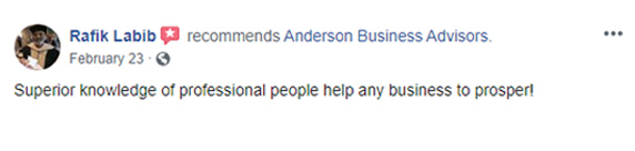 Anderson Business Advisors