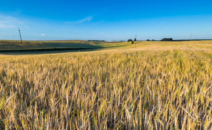How does a Land Trust work?