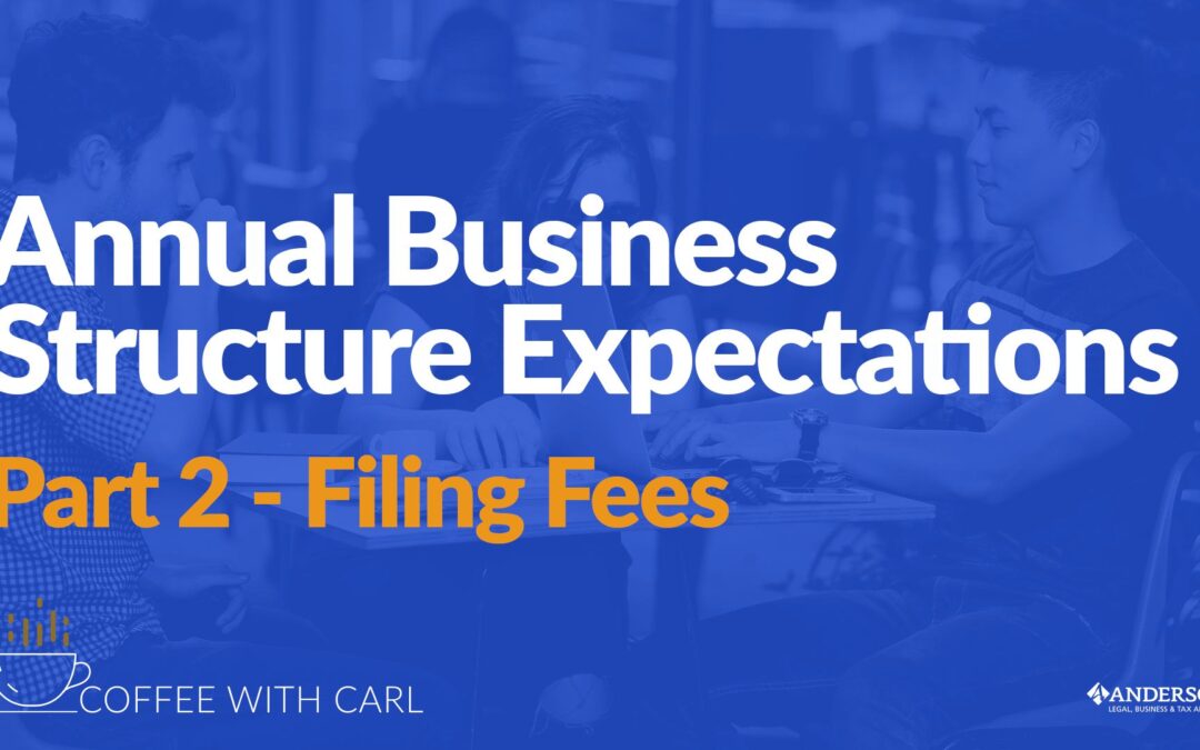 Annual Business Structure Expectations Part 2 – Filing Fees
