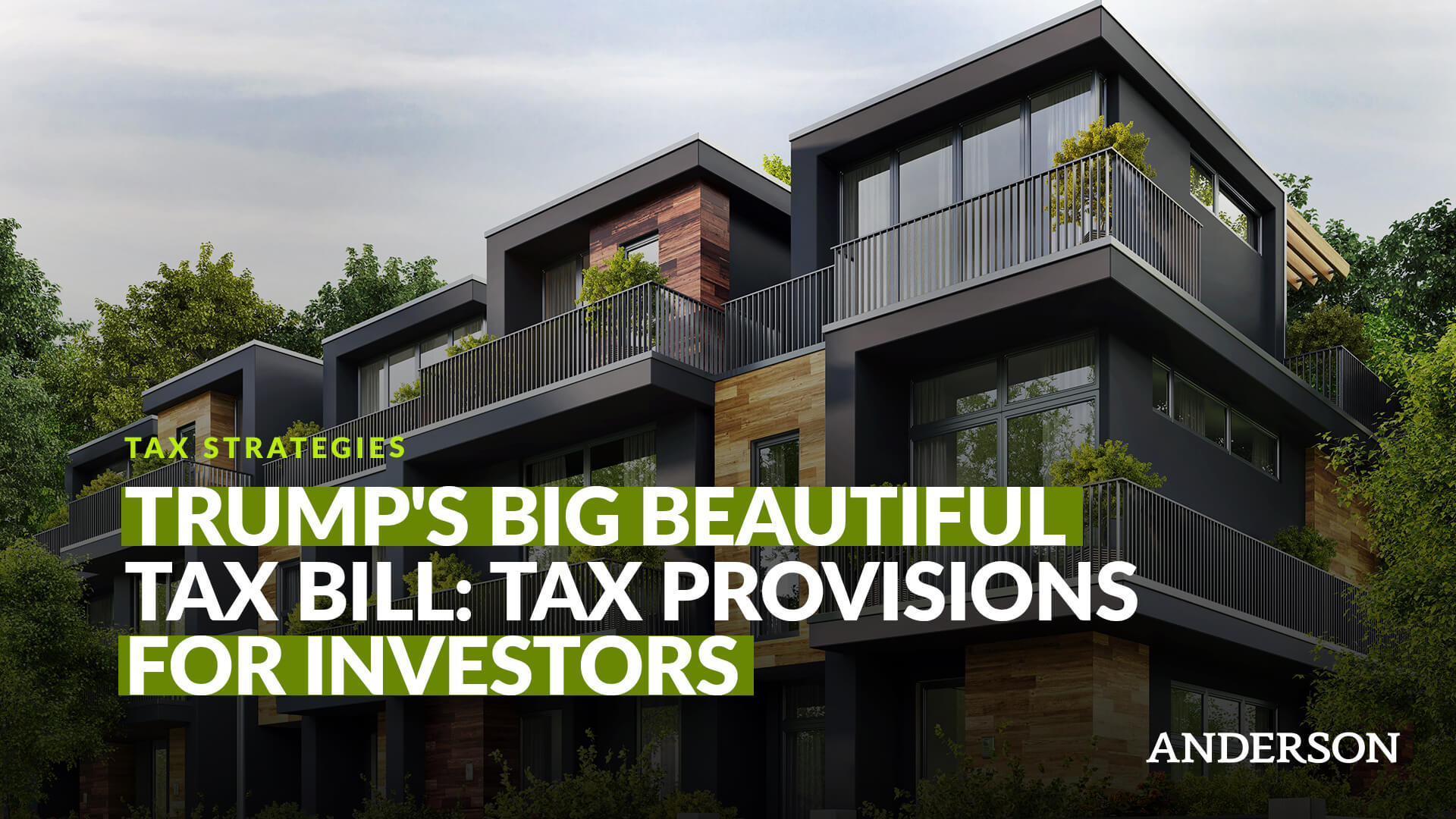Tax Provisions Explained for Investors - Section 199A, Section 179, Opportunity Zones, SALT