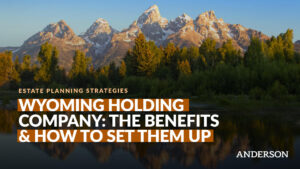 Wyoming Holding Company: The Benefits & How To Set Them Up